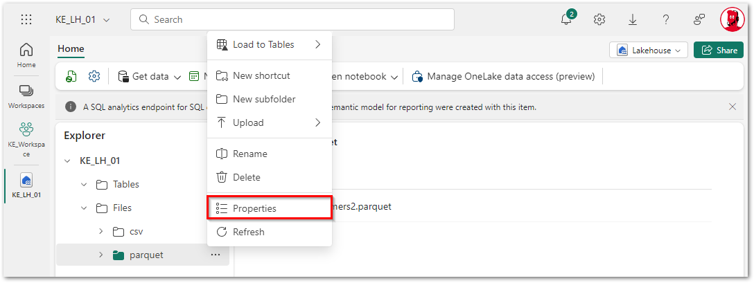 Lakehouse URL in the Microsoft Fabric Portal