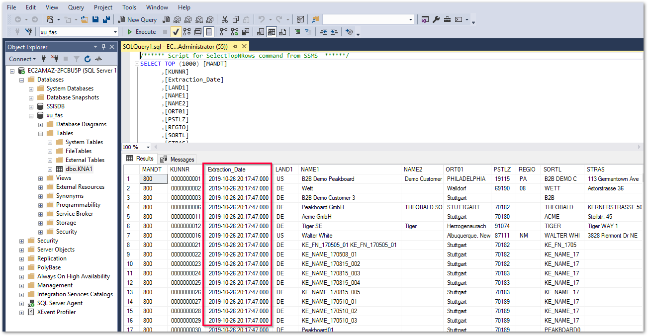 Custom_SQL_SQL_Server_Ausgabe