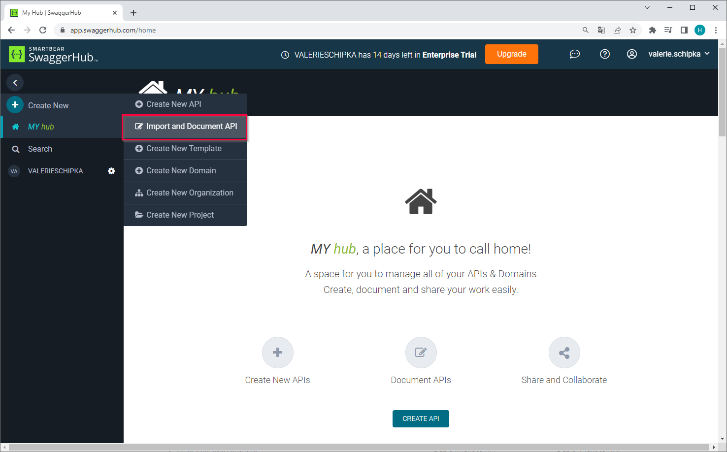 Swagger-Hub-Load-Service-1